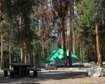Forest Service Campgrounds